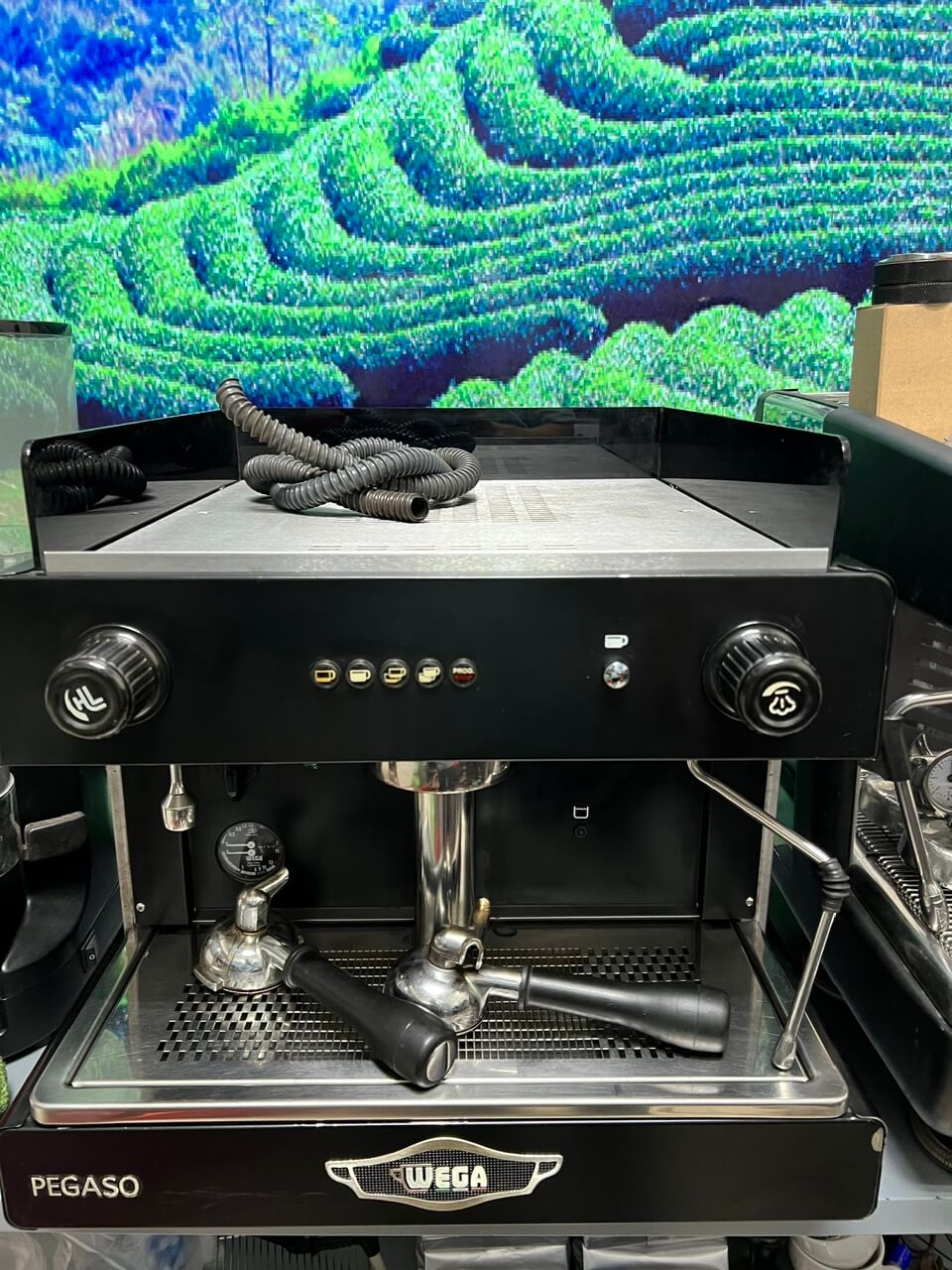 Thanh lý máy pha cà phê Wega Pegaso 1 Group